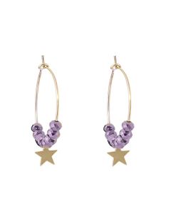 Viva oorringen Star Purple - 00984